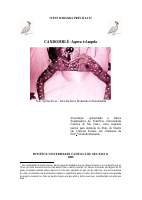 CANDOMBLÉ Agora é Angola.pdf
